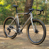 Yoeleo Altera G21 Gravel Frameset Champagne
